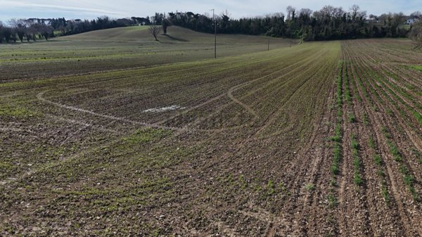terreno agricolo in vendita a Forlì in zona San Martino in Strada