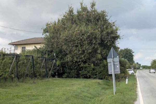 casa indipendente in vendita a Forlì