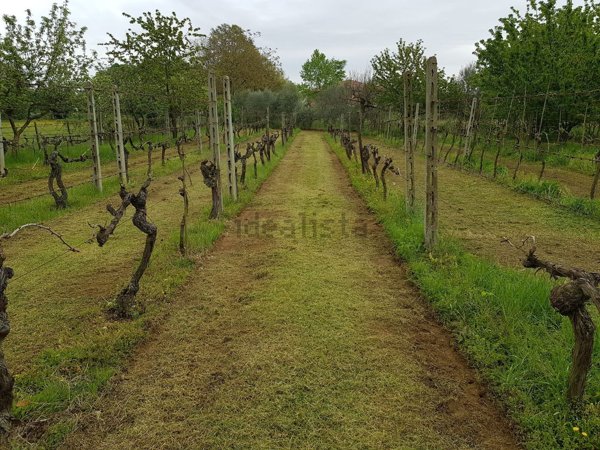 terreno edificabile in vendita a Forlì