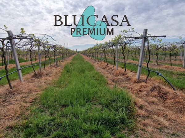 casa indipendente in vendita a Forlì in zona Casemurate