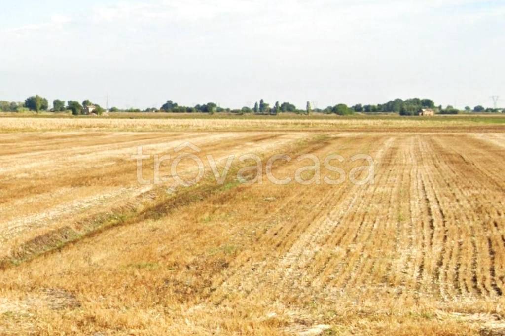 casa indipendente in vendita a Forlì in zona Casemurate