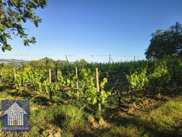 terreno agricolo in vendita a Forlì in zona San Martino in Strada