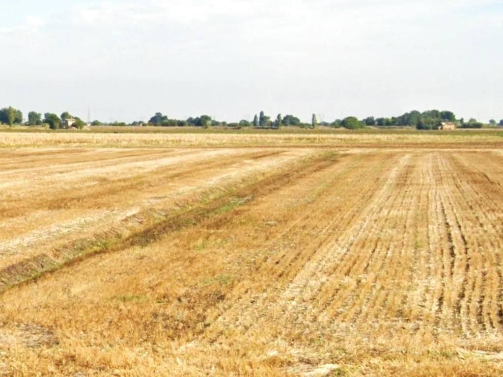 terreno agricolo in vendita a Forlì in zona Carpinello