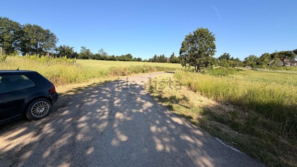 terreno agricolo in vendita a Forlì in zona Centro Storico