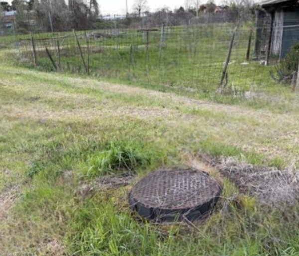terreno agricolo in vendita a Forlì in zona Cava