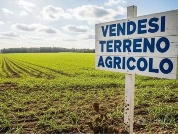 casa indipendente in vendita a Forlì in zona San Tomé