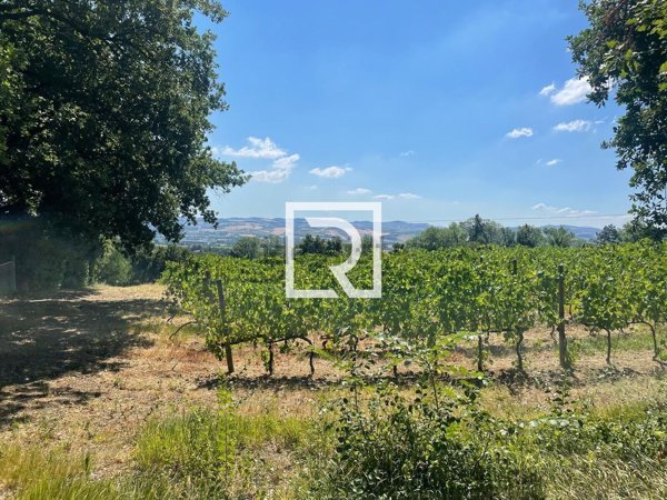 pentavano in vendita a Forlì in zona Ravaldino in Monte