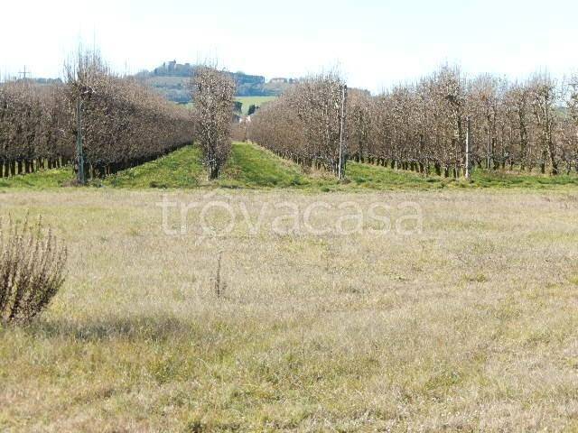 casa indipendente in vendita a Forlì in zona Villagrappa