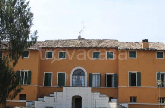 negozio in vendita a Forlì in zona Grisignano