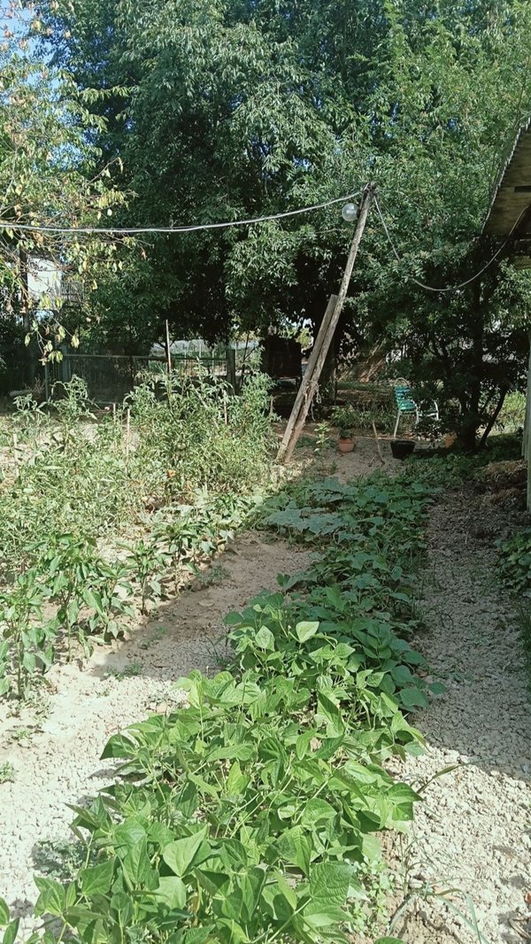 casa indipendente in vendita a Forlì in zona Poggio