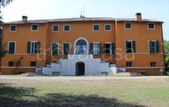 negozio in vendita a Forlì