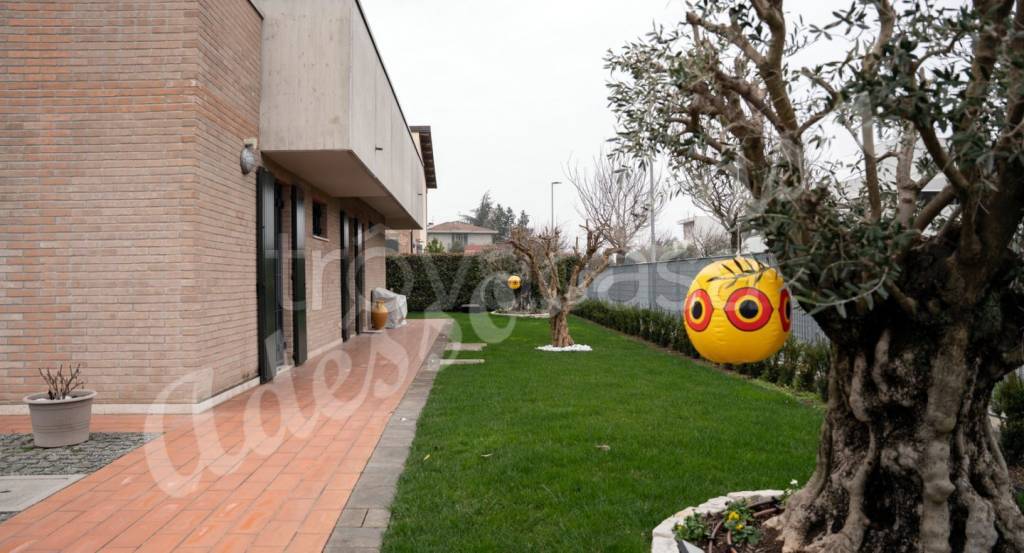 immagine annuncio 0 di 15