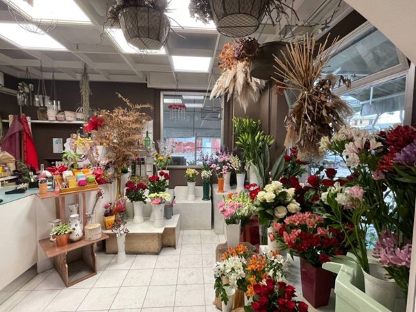 negozio in vendita a Forlì in zona San Benedetto