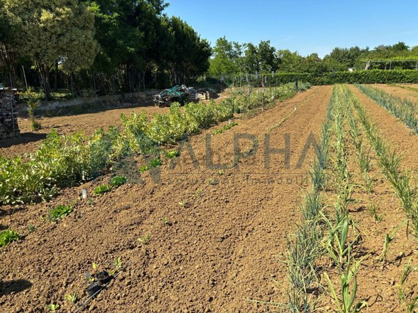 terreno in vendita a Forlì