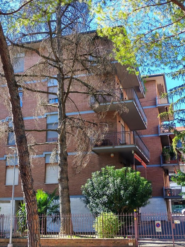 appartamento in vendita a Forlì in zona Campo di Marte / Benefattori