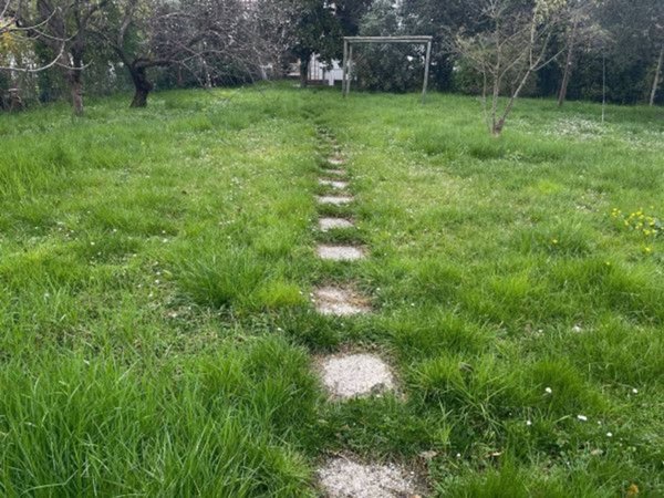 negozio in vendita a Forlì in zona Cava