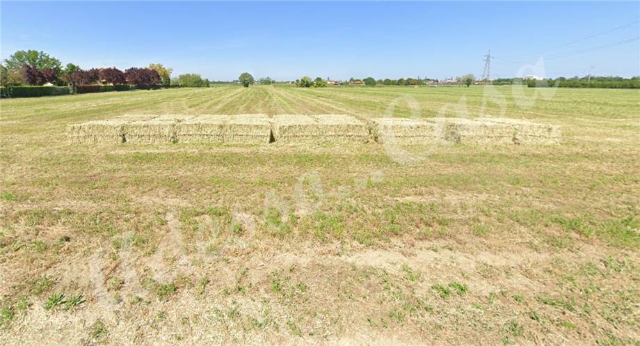terreno agricolo in vendita a Forlì