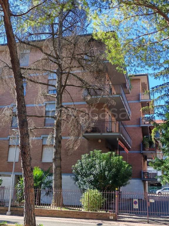 appartamento in vendita a Forlì in zona Campo di Marte / Benefattori