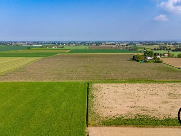 terreno agricolo in vendita a Forlì in zona Casemurate