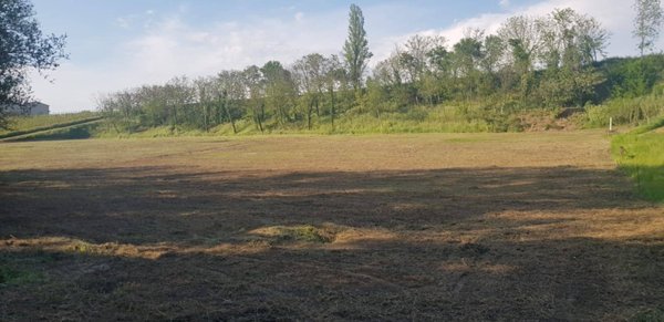 negozio in vendita a Forlì in zona Ronco