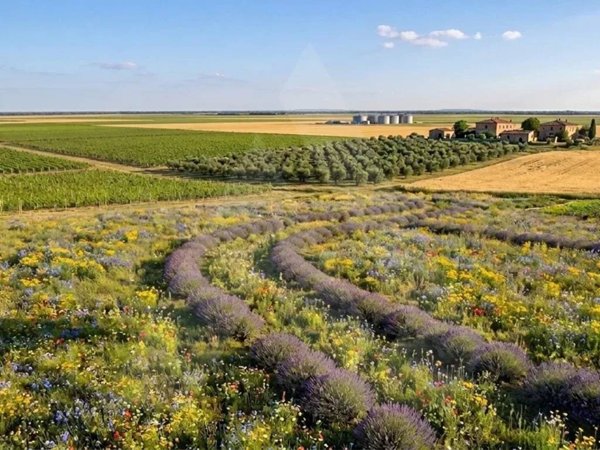 terreno agricolo in vendita a Forlì in zona Selva