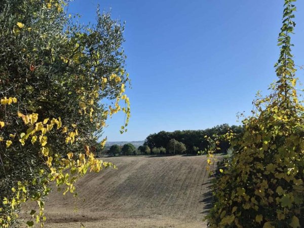 terreno agricolo in vendita a Forlì in zona Ravaldino in Monte