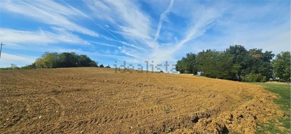 terreno agricolo in vendita a Forlì in zona Ravaldino in Monte
