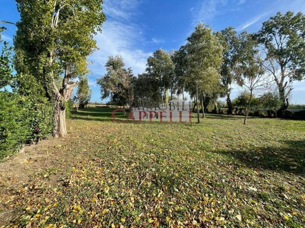 terreno agricolo in vendita a Forlimpopoli