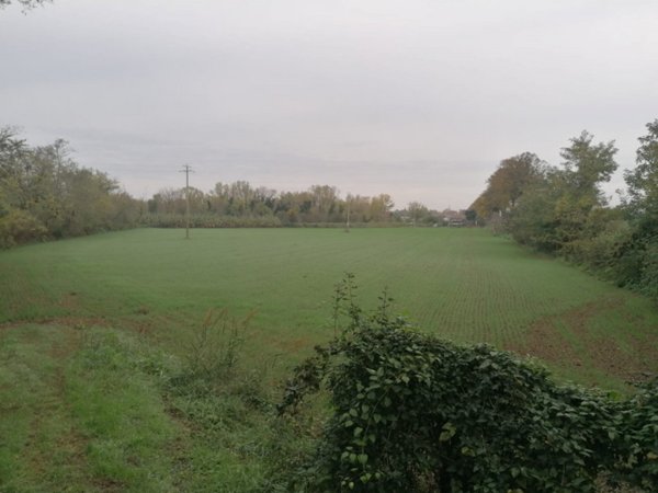 terreno agricolo in vendita a Forlimpopoli in zona Selbagnone