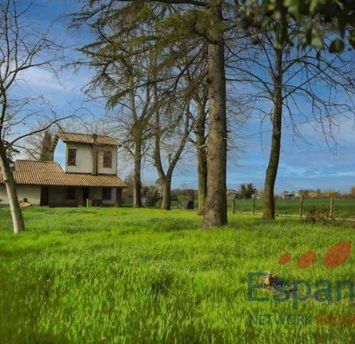 casa indipendente in vendita a Forlimpopoli