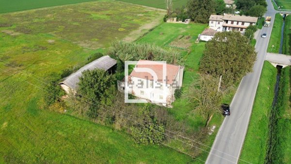 pentavano in vendita a Forlimpopoli