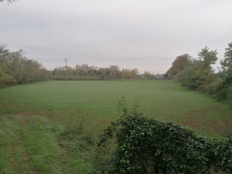 terreno agricolo in vendita a Forlimpopoli in zona Selbagnone