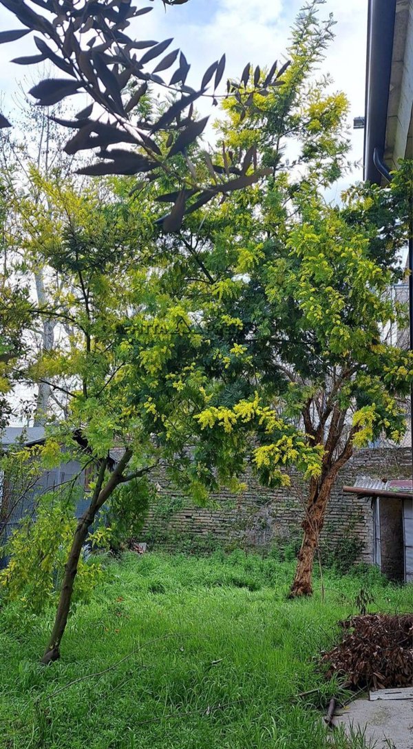 casa indipendente in vendita a Forlimpopoli
