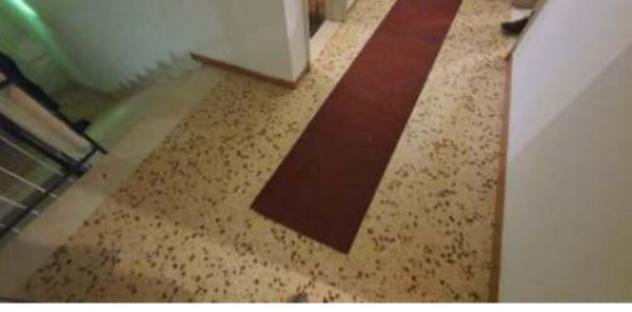 appartamento in vendita a Forlimpopoli