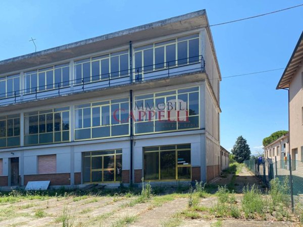 negozio in vendita a Forlimpopoli