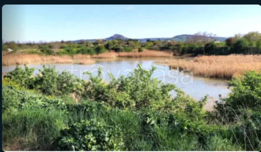 terreno agricolo in vendita a Forlimpopoli