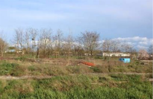 terreno edificabile in vendita a Forlimpopoli