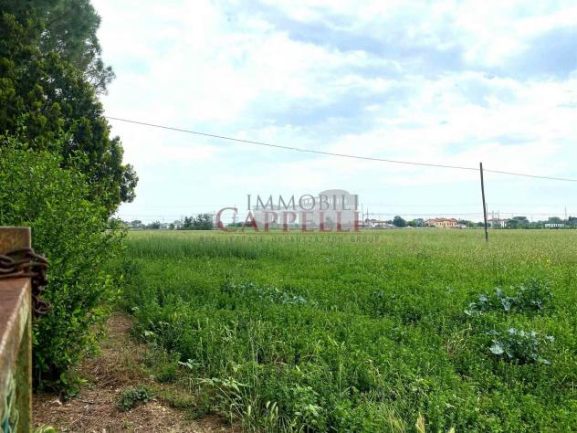 terreno agricolo in vendita a Forlimpopoli