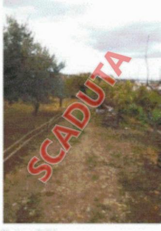 terreno edificabile in vendita a Forlimpopoli