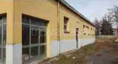 terreno agricolo in vendita a Forlimpopoli