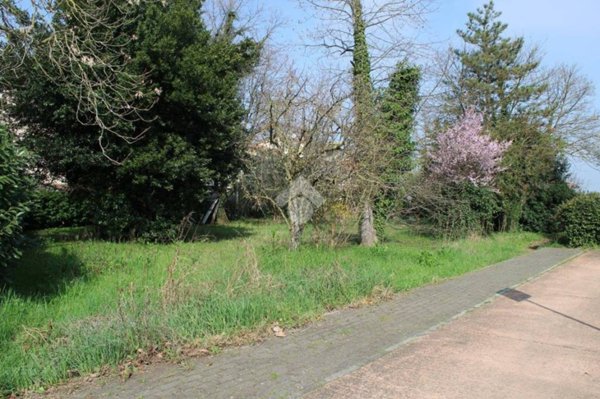 negozio in vendita a Forlimpopoli