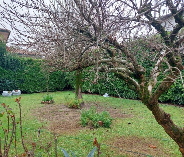 casa indipendente in vendita a Forlimpopoli