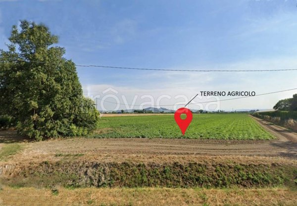 terreno agricolo in vendita a Forlimpopoli