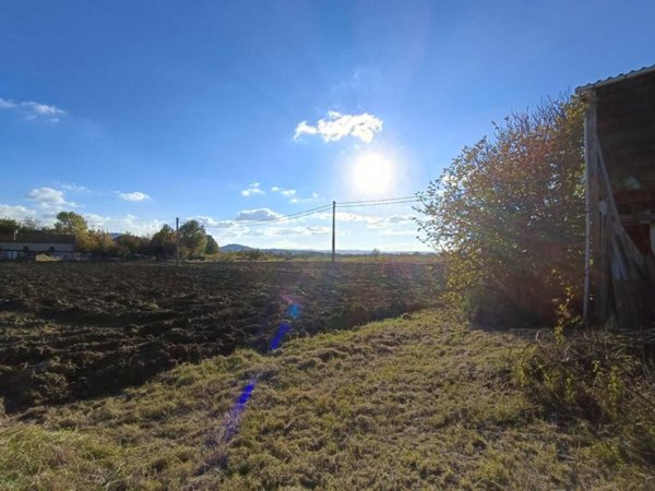 terreno agricolo in vendita a Forlimpopoli