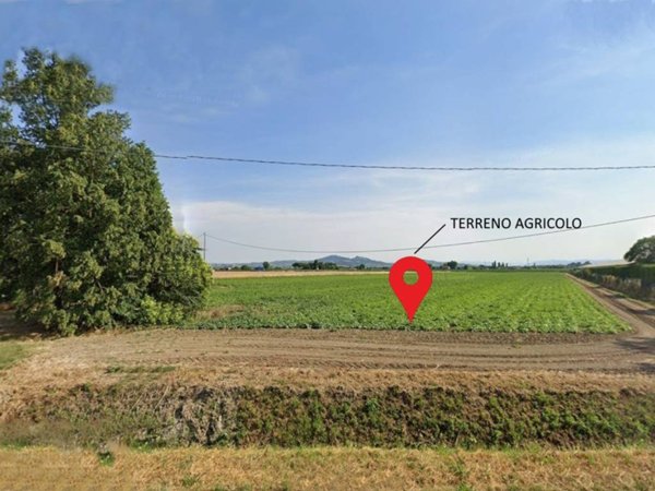 terreno agricolo in vendita a Forlimpopoli in zona Selbagnone