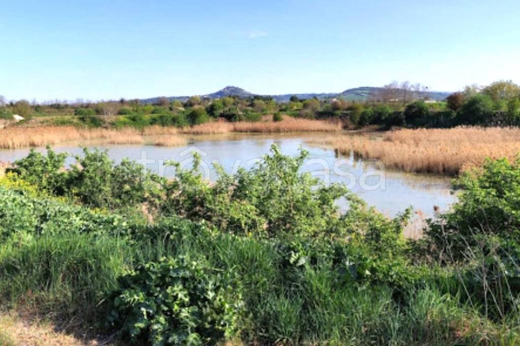 terreno agricolo in vendita a Forlimpopoli in zona Selbagnone