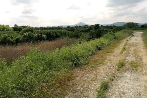 terreno agricolo in vendita a Forlimpopoli in zona Selbagnone