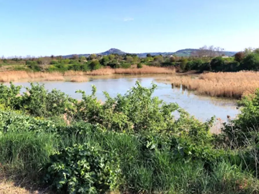 terreno in vendita a Forlimpopoli in zona Selbagnone