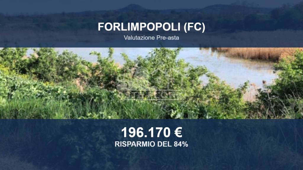 terreno agricolo in vendita a Forlimpopoli in zona Selbagnone