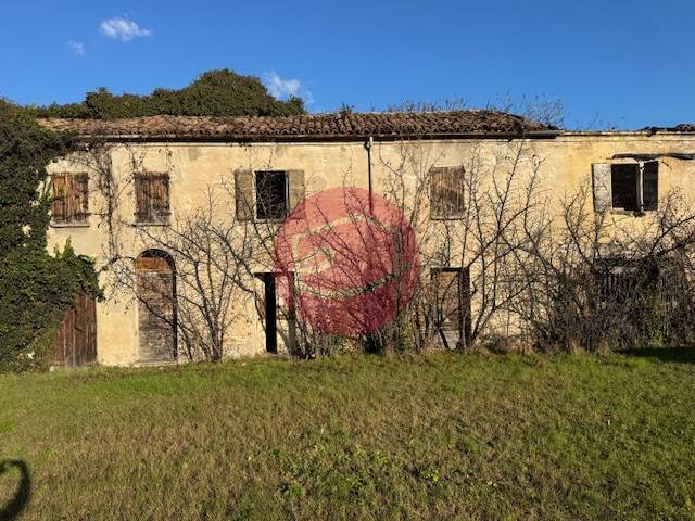 immagine annuncio 0 di 8